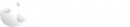 Nostea